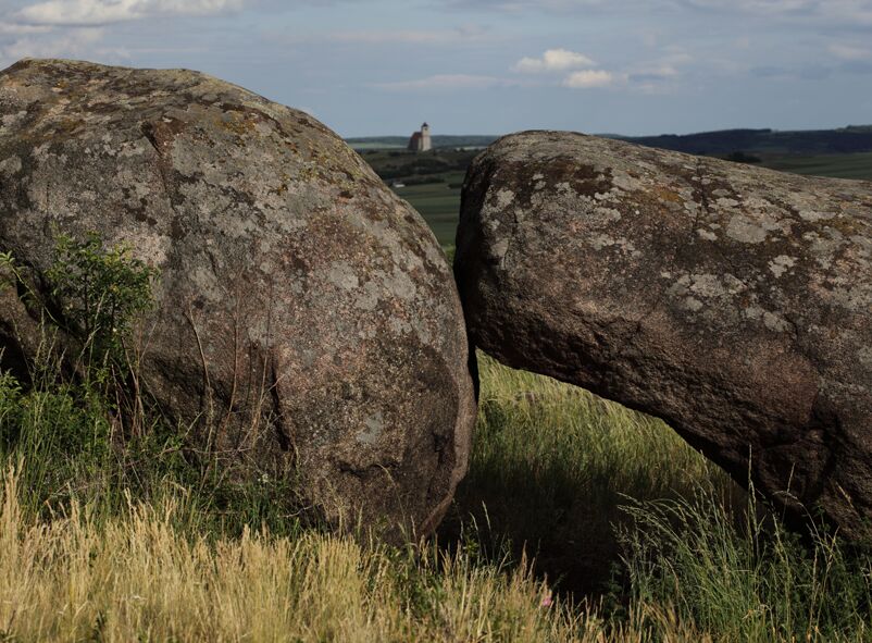 Granitrestlinge im Naturschutzgebiet Fehhaube-Kogelsteine © Martha Gross