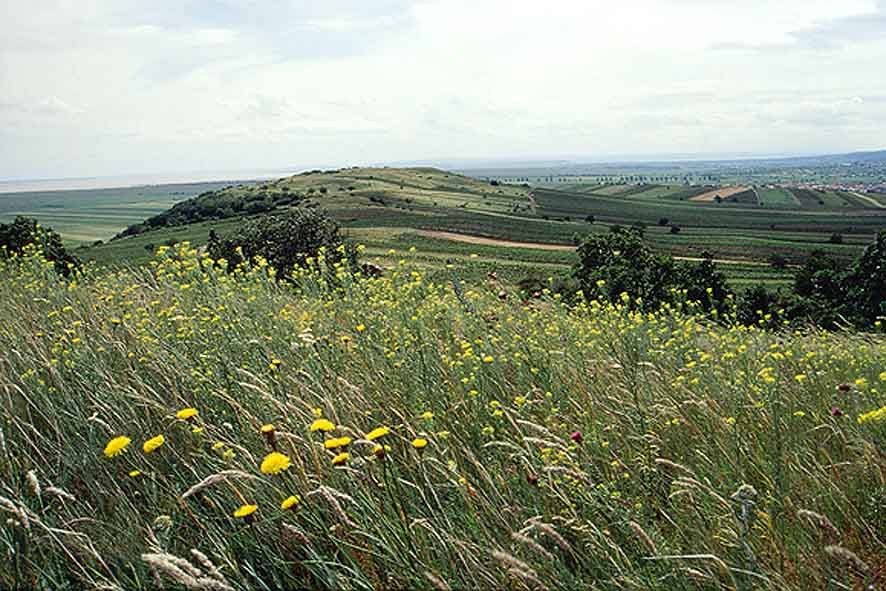 © | naturschutzbund | Burgenland