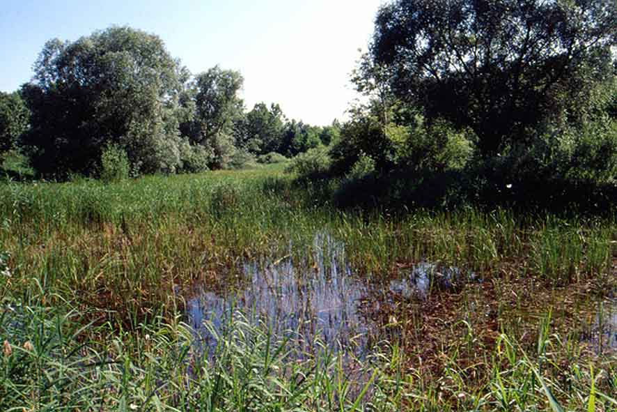 © | naturschutzbund | Burgenland