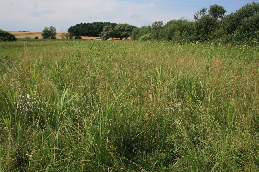 Naturschutzgebiet Schleinitzbachniederung Naturschutzbund